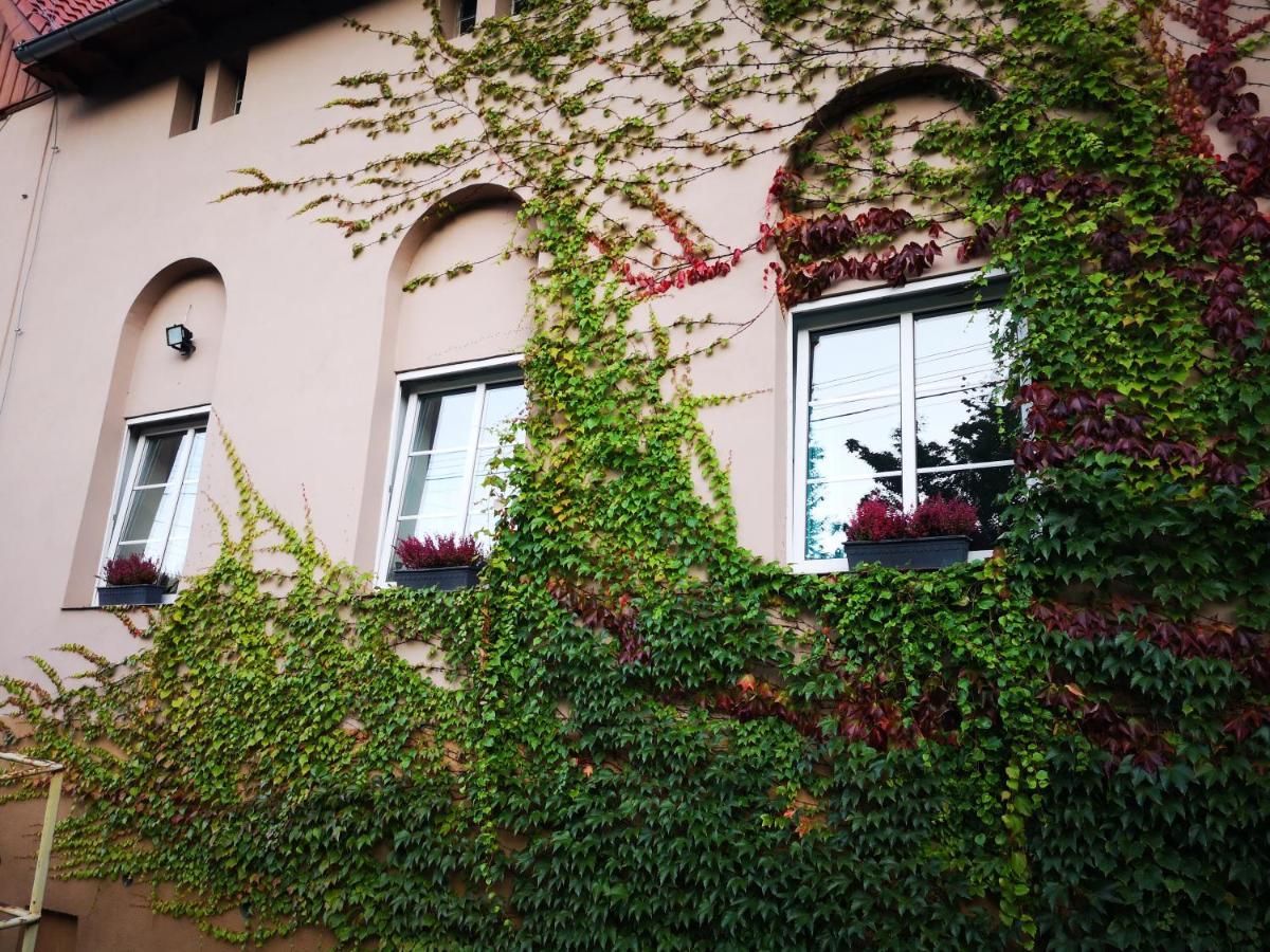 Apartament Nad Potokiem Wrzosowka Apartment Jelenia Gora Luaran gambar